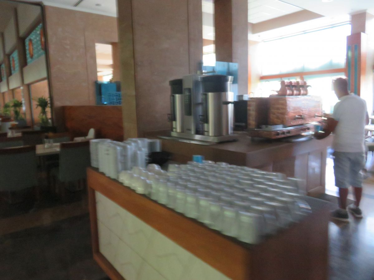 imagini hotel Hilton Sarigerme